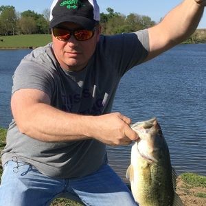 Meet your Posher, Martin